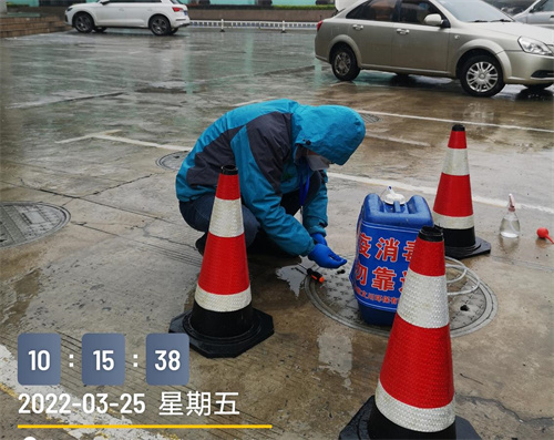 1648280913272434.jpg 8.jpg